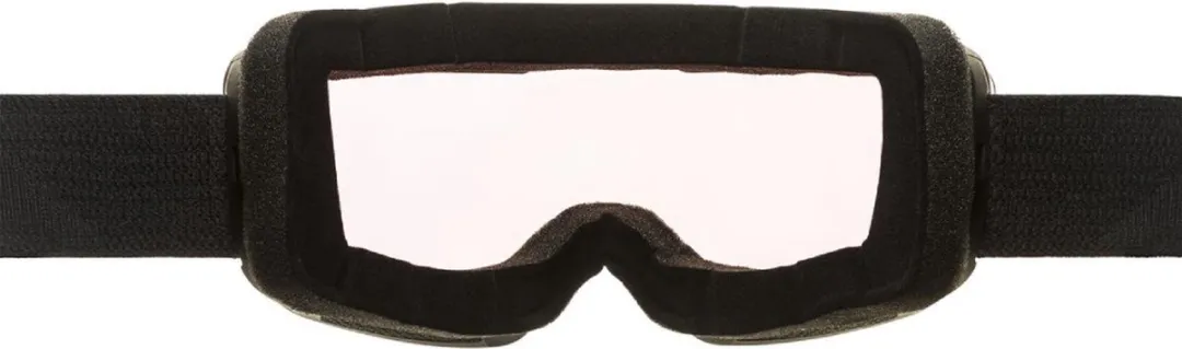 Alpina Nendaz QV Photochromic OTG Skibril - Zwart