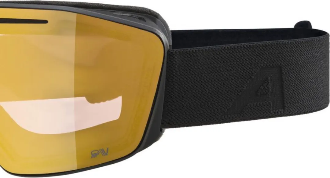 Alpina Nendaz QV Photochromic OTG Skibril - Zwart - afbeelding 6 van 6