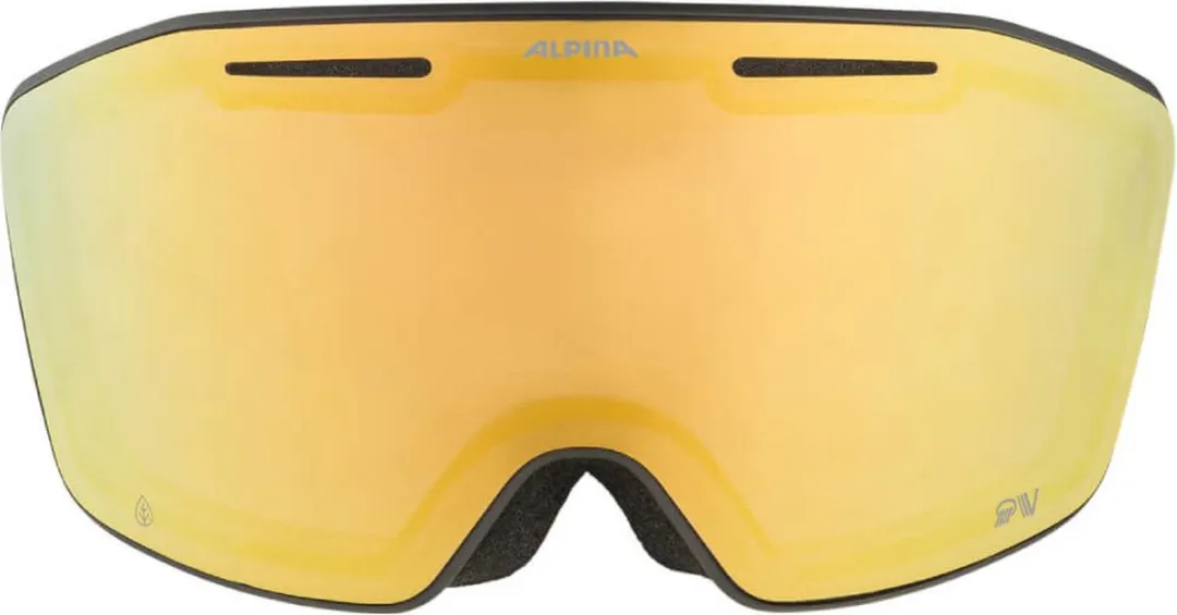 Alpina Nendaz QV Photochromic OTG Skibril - Zwart
