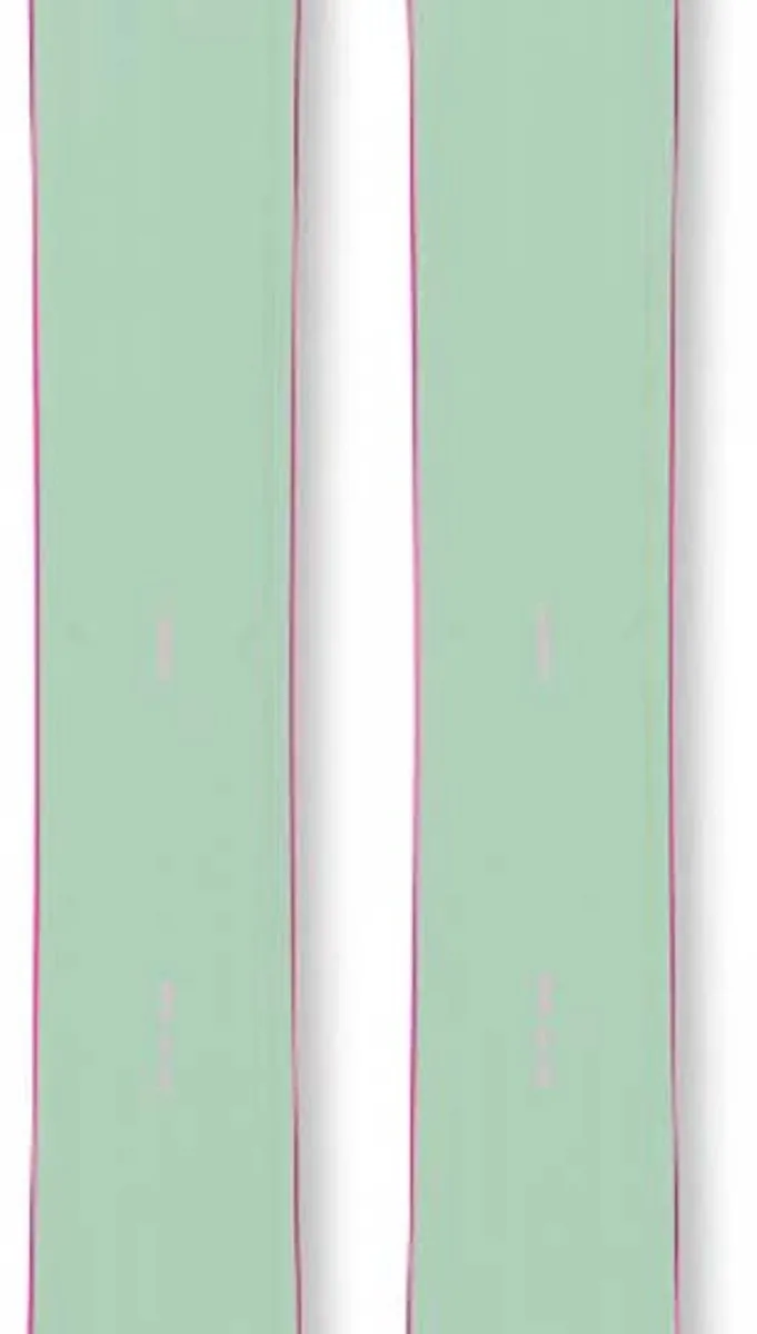 Fischer Ranger 90 Alpineski Groen 170cm