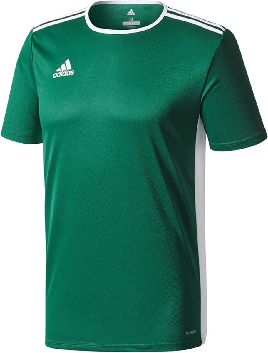 adidas Entrada 18 Sportshirt CE9563JR - 116 - Groen/Wit - afbeelding 6 van 6