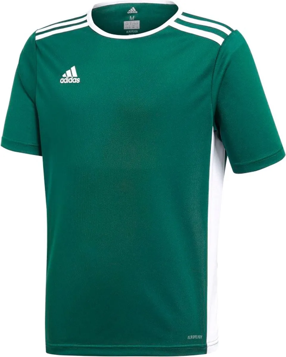adidas Entrada 18 Sportshirt CE9563JR