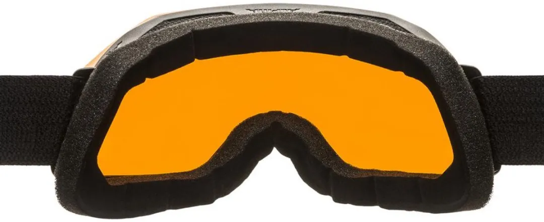 Alpina Blackcomb Q OTG Skibril - Zwart - Oranje lens
