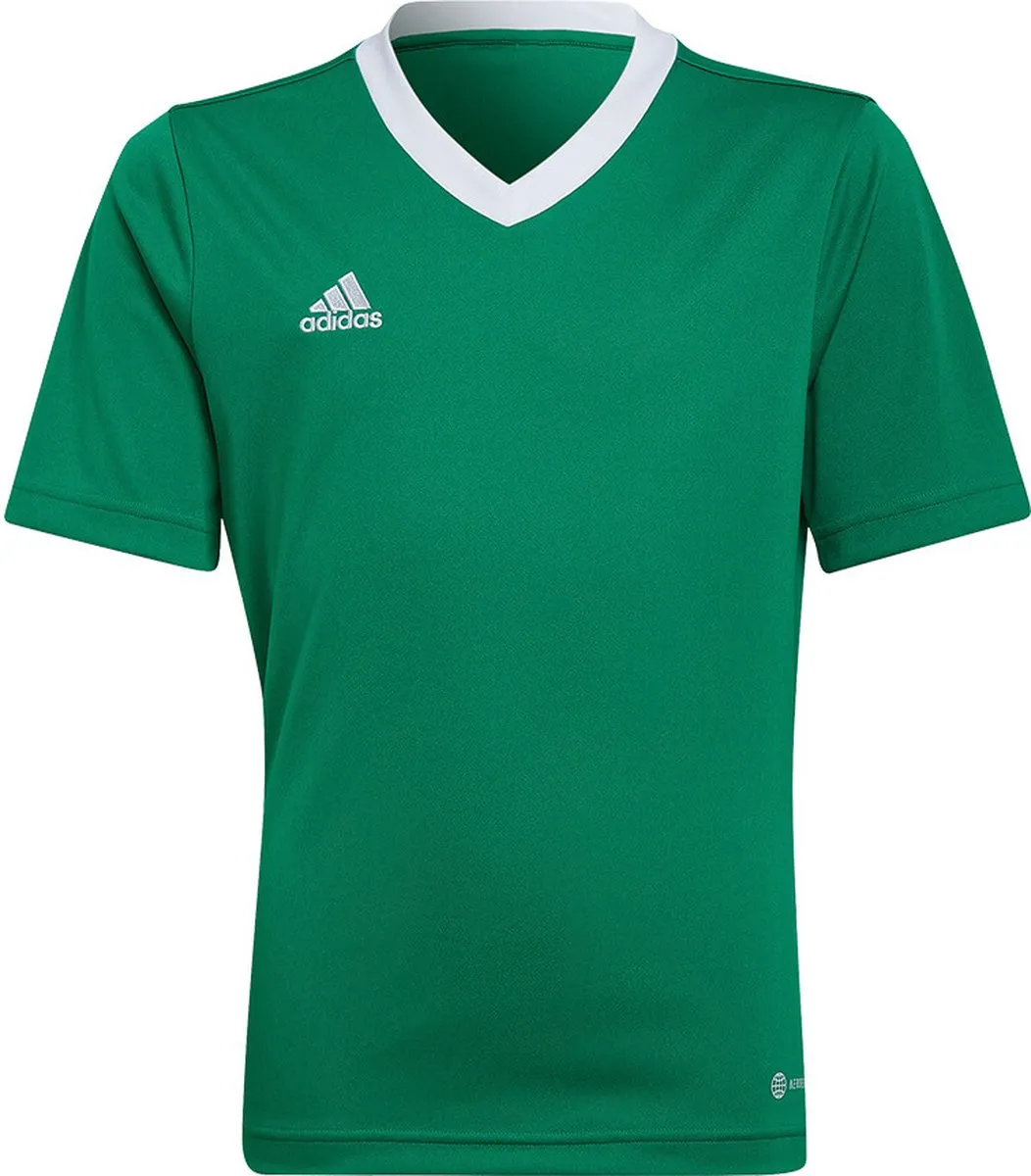 adidas Entrada 22 Jersey Youth 164