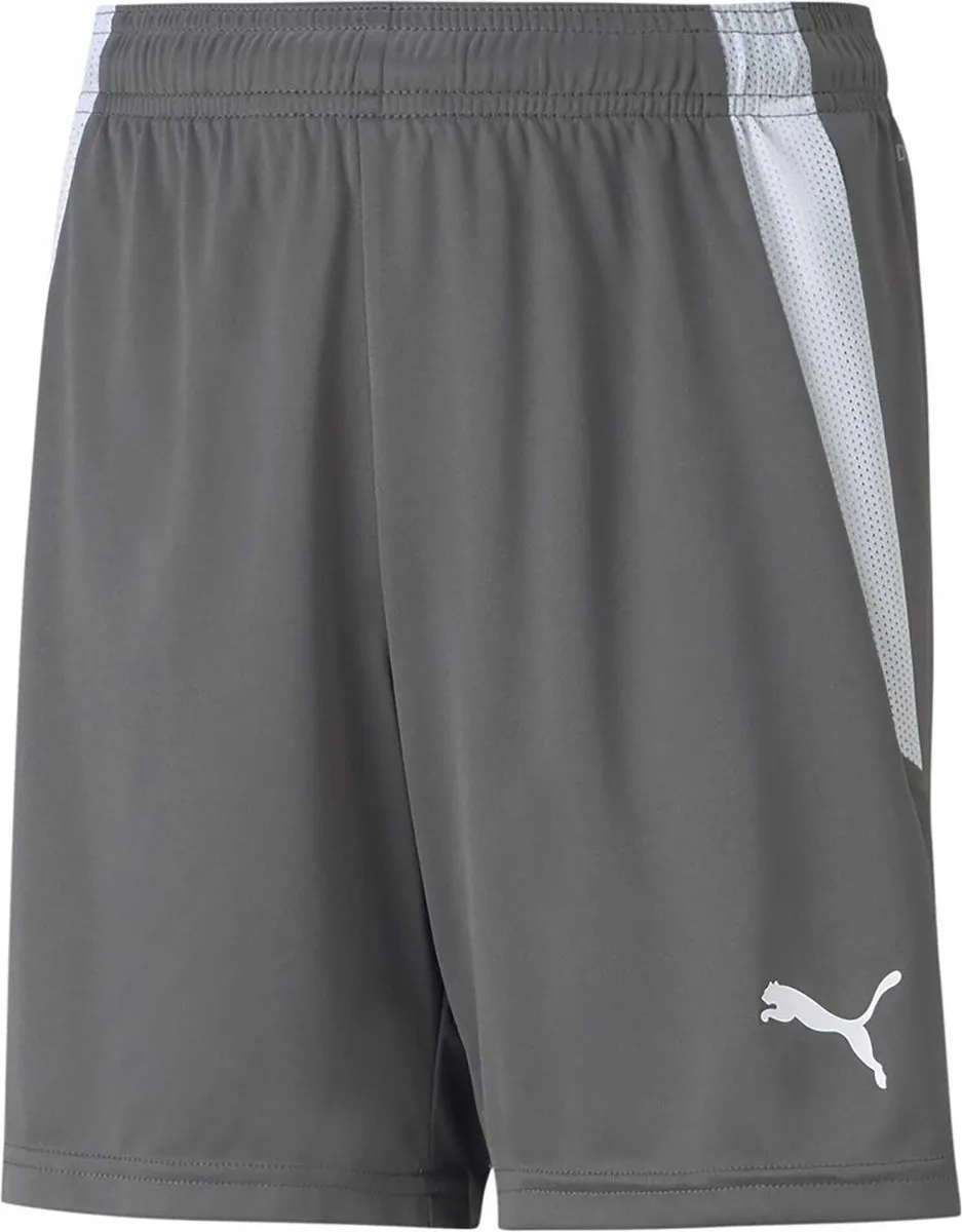 PUMA Teamliga Short 140 - Grijs