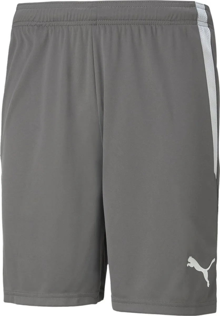 PUMA Teamliga Short 140 - Grijs