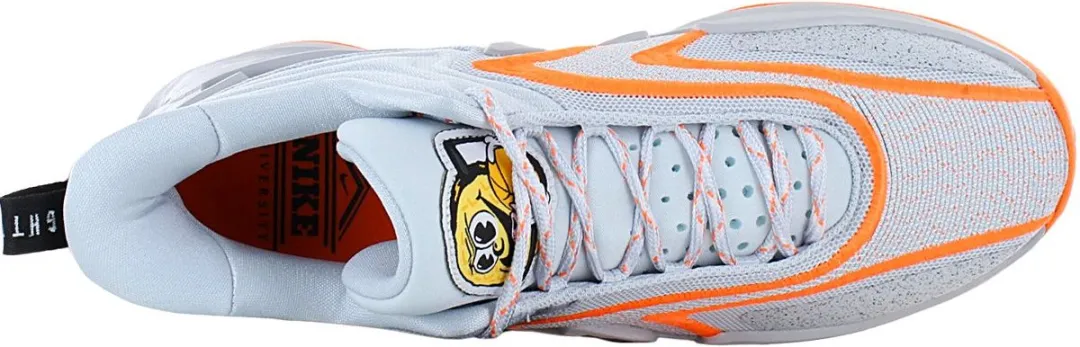 Nike Cosmic Unity 2 Heren Basketbalschoenen DH1537-004 - Grijs