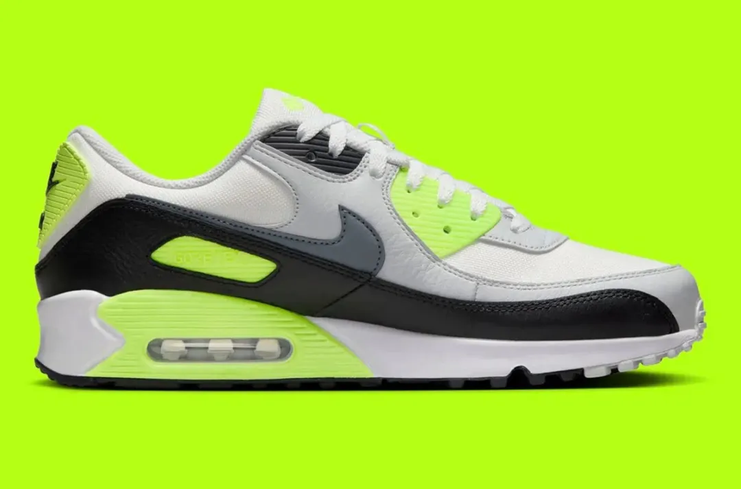 Nike Air Max 90 GORE-TEX FD5810-102