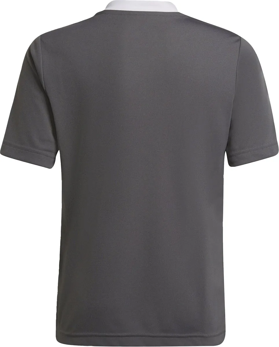 Adidas Performance Entrada 22 Voetbalshirt 140 - Grijs - afbeelding 6 van 6