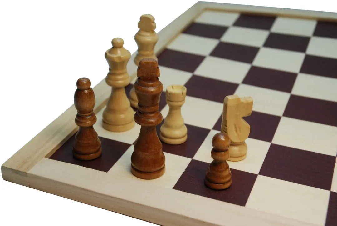 HOT Games Schaak-Dambord Bruin 40cm