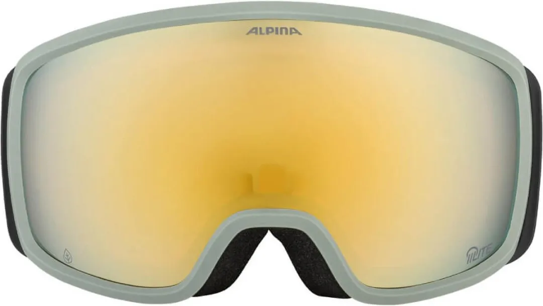 Alpina Bivio Q-LiteSkibril - Zwart Groen - Categorie 2