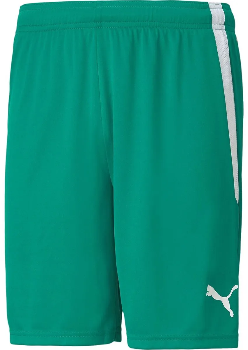 PUMA TeamLIGA Short Junior 704931-05