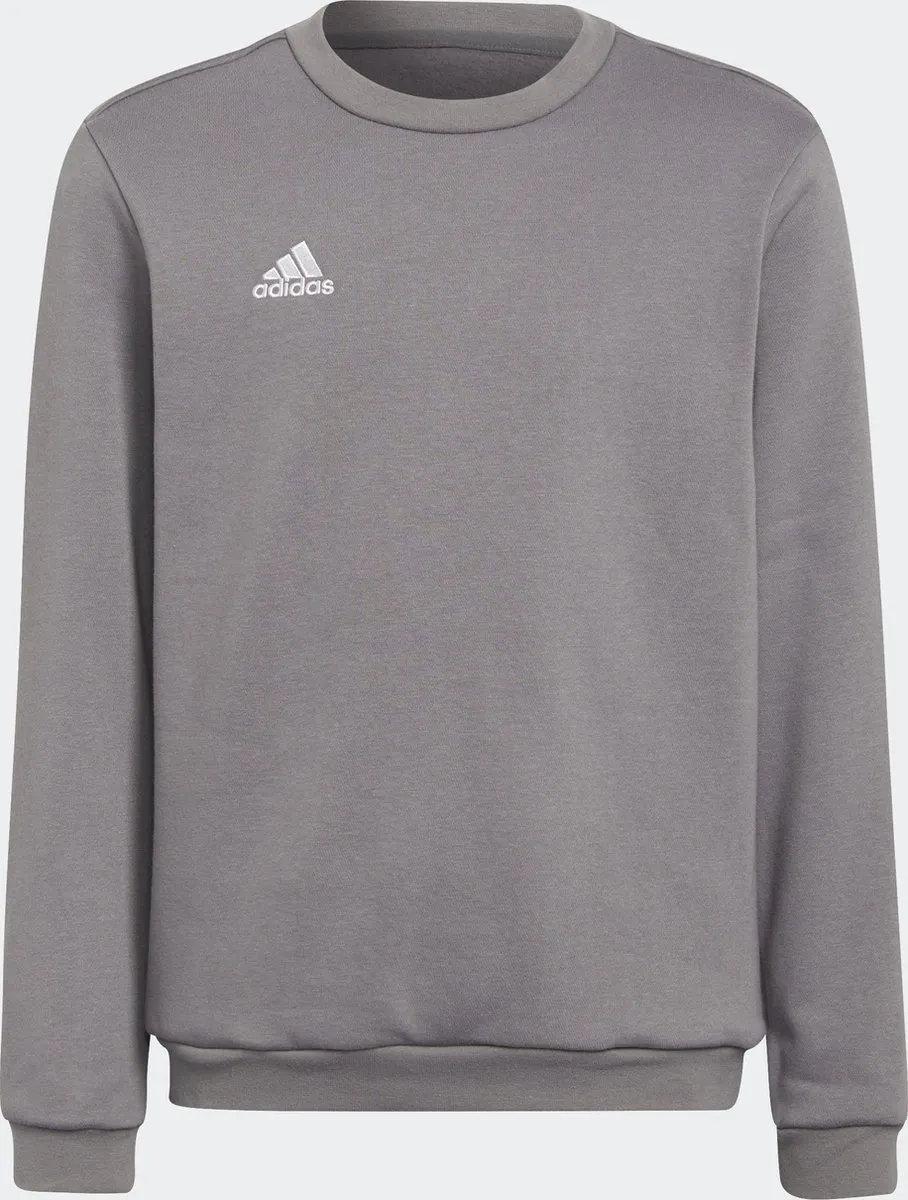adidas Performance Entrada 22 Sweatshirt