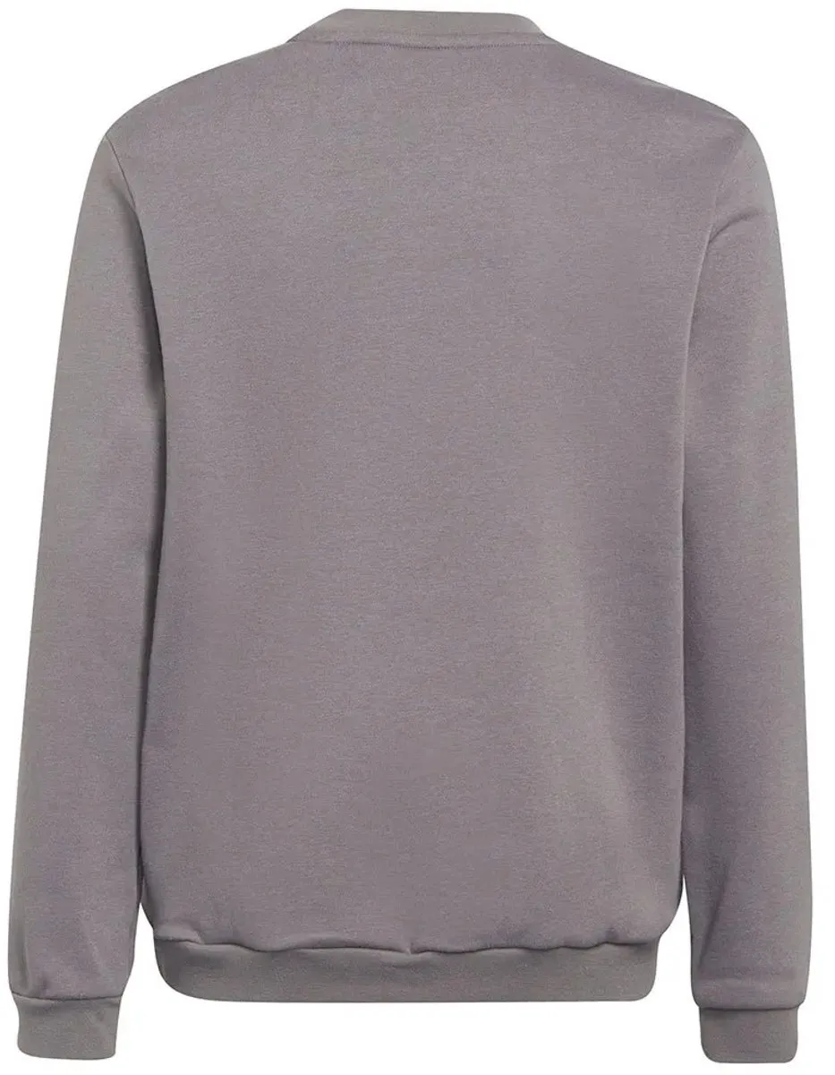 adidas Performance Entrada 22 Sweatshirt - 116 - Grijs