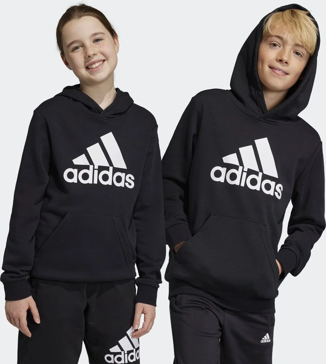 adidas Big Logo Essentials Hoodie