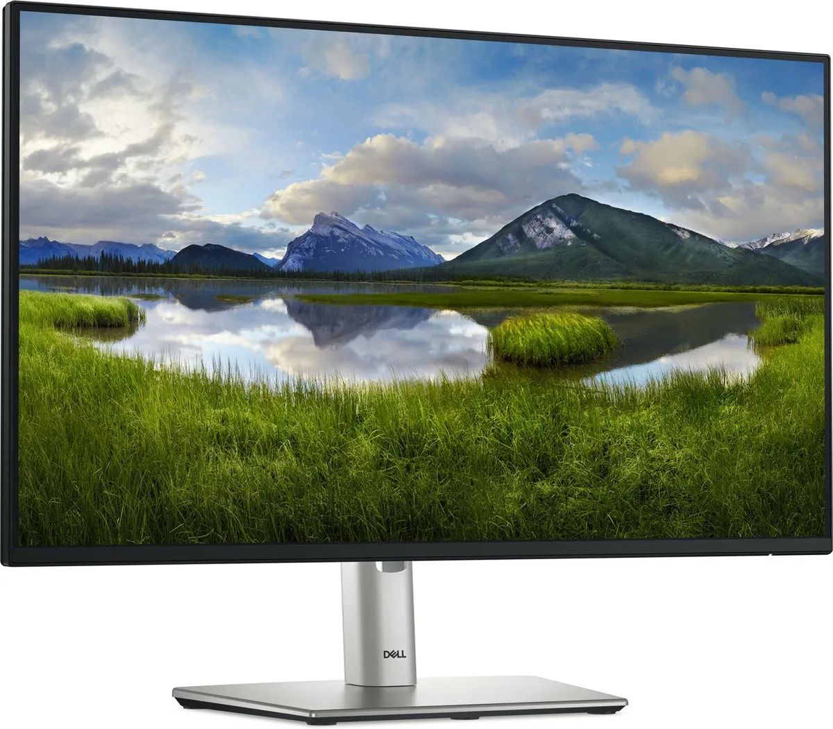 Dell Pro Plus P2425HE Monitor 23.8" Full HD - Zwart