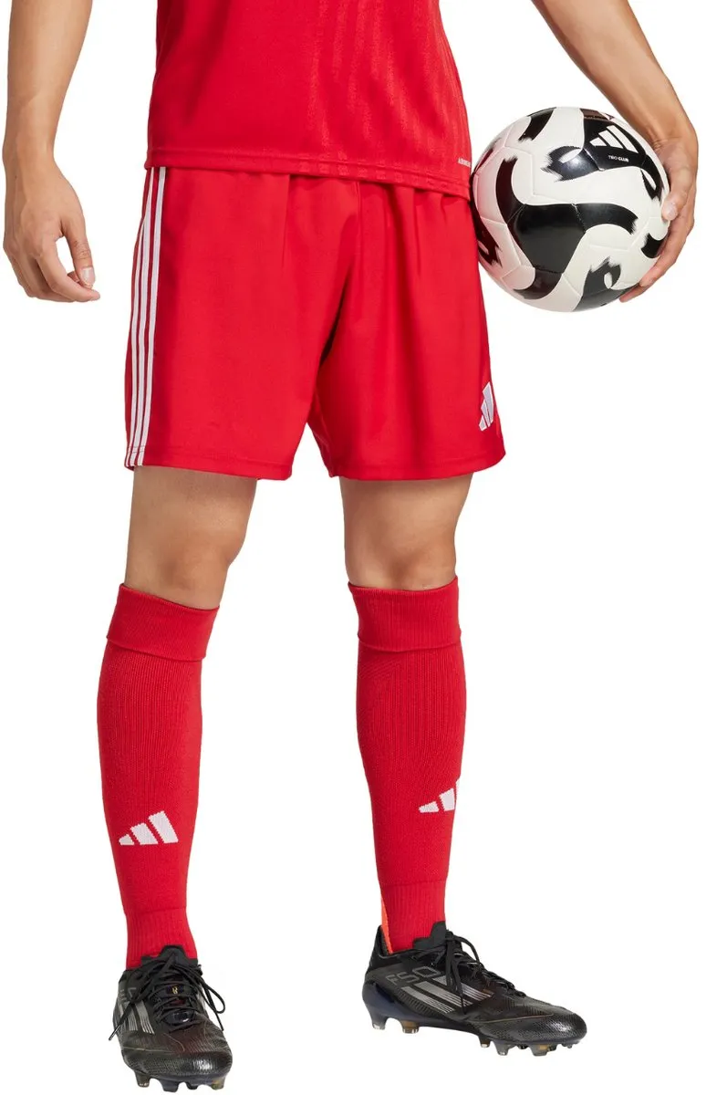 adidas Tastigo 25 Herenshort M - Rood