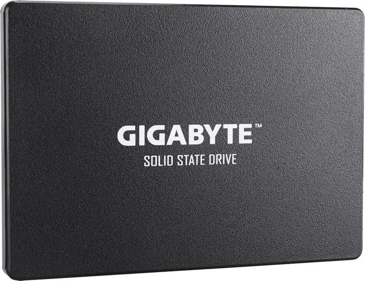 Gigabyte GP-GSTFS31100TNTD SSD 1TB - Zwart
