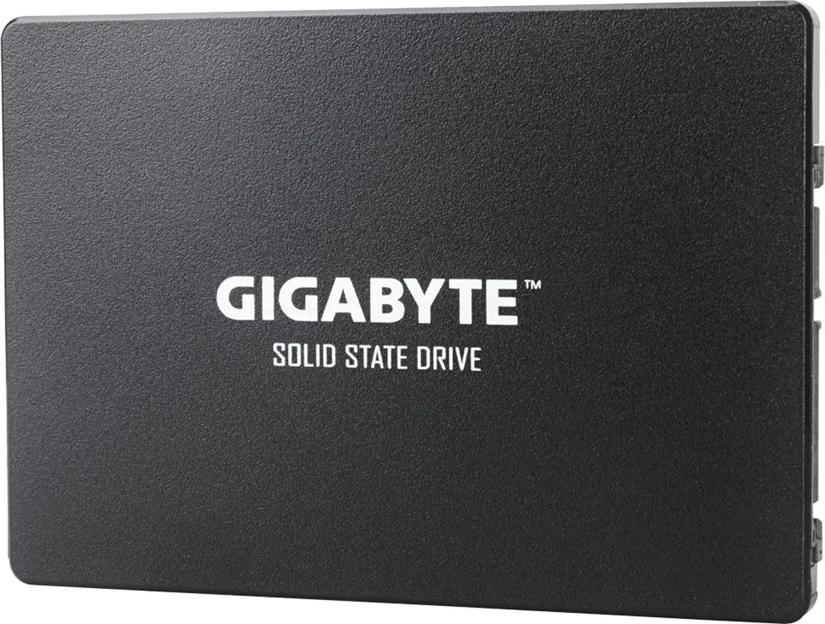 Gigabyte GP-GSTFS31100TNTD SSD 1TB - Zwart
