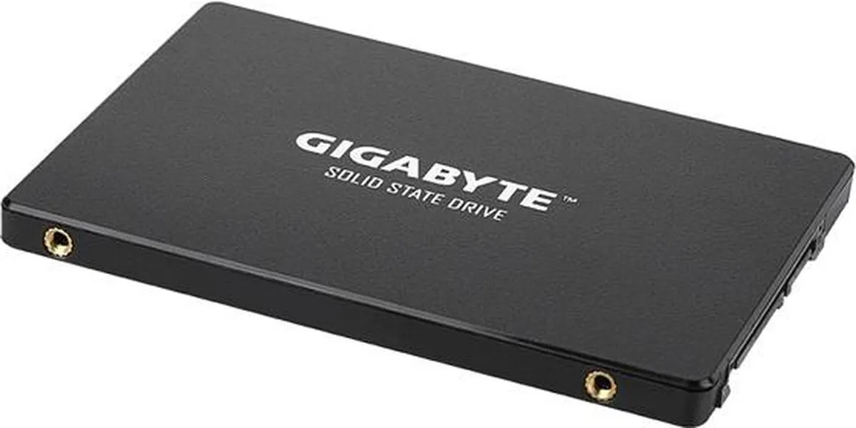 Gigabyte GP-GSTFS31100TNTD SSD 1TB - Zwart