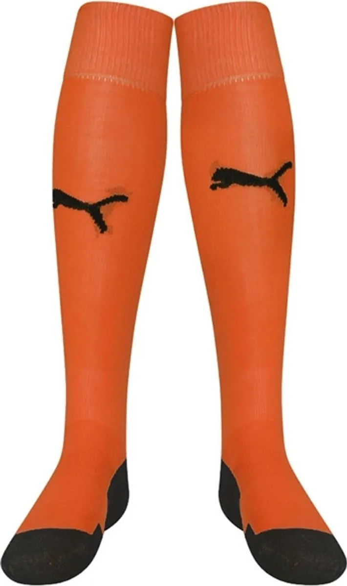 PUMA Teamliga Voetbalkousen - Oranje 39-42