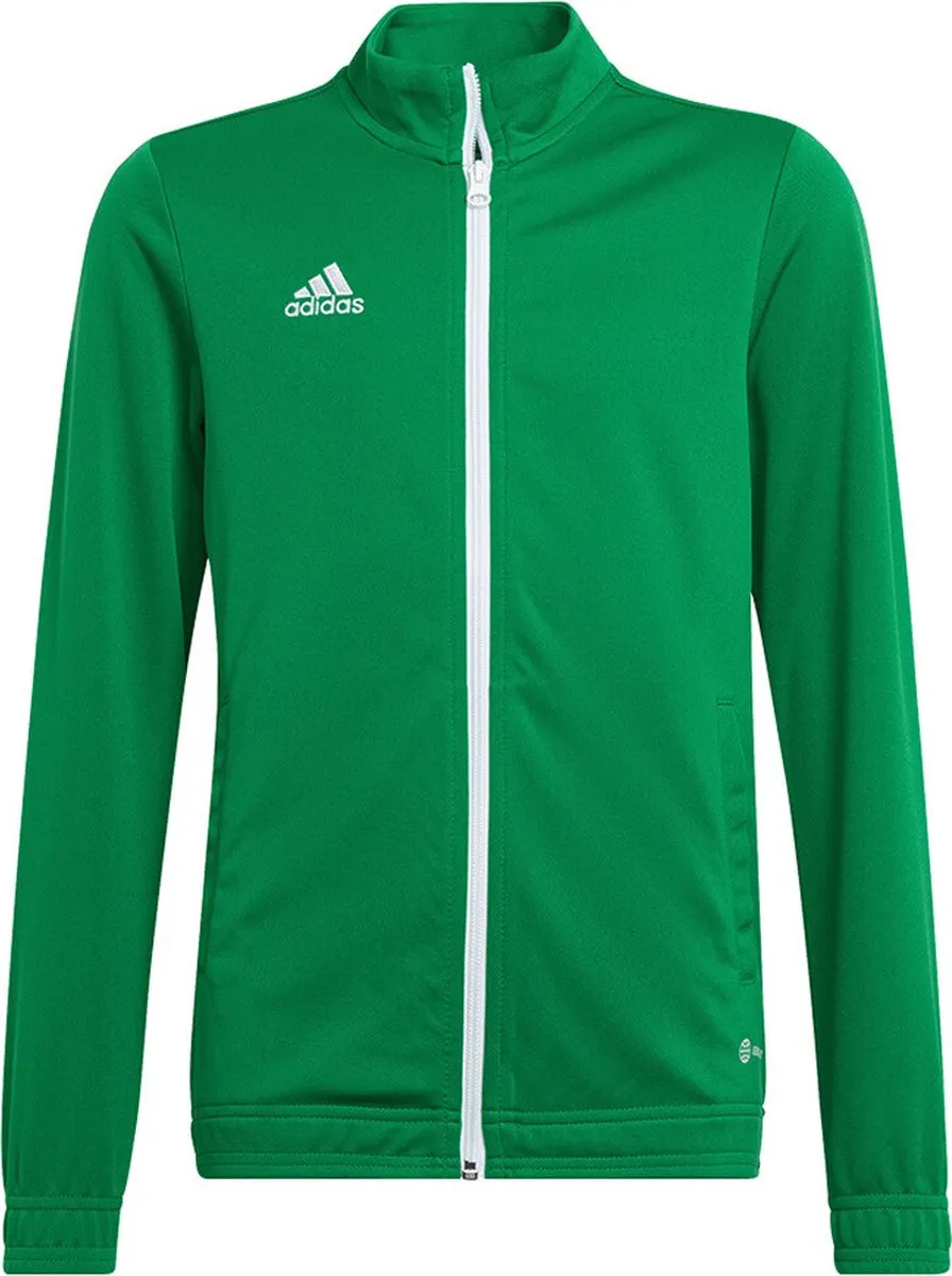 adidas Entrada 22 Track Jacket - 116 - Groen