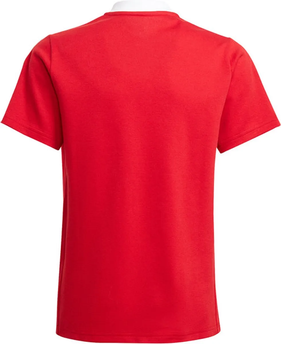 Adidas Tiro 21 Polo Kinderen - Rood - Maat 152