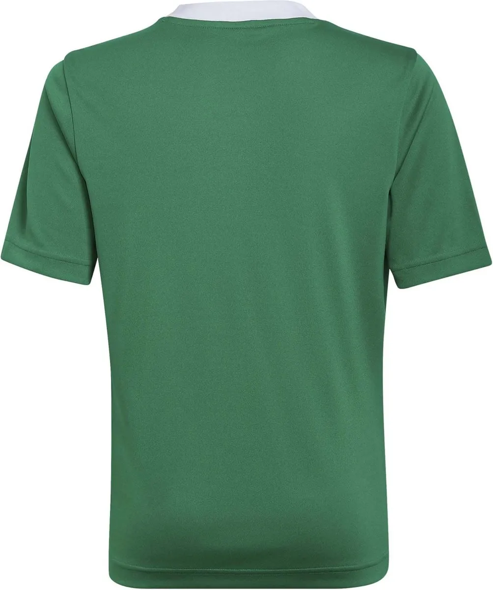 adidas Entrada 22 Jersey Youth 152 - Groen