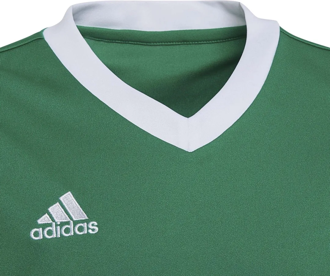 adidas Entrada 22 Jersey Youth 152 - Groen
