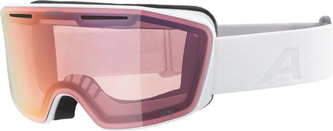 Alpina Nendaz QV OTG Photochromic Skibril