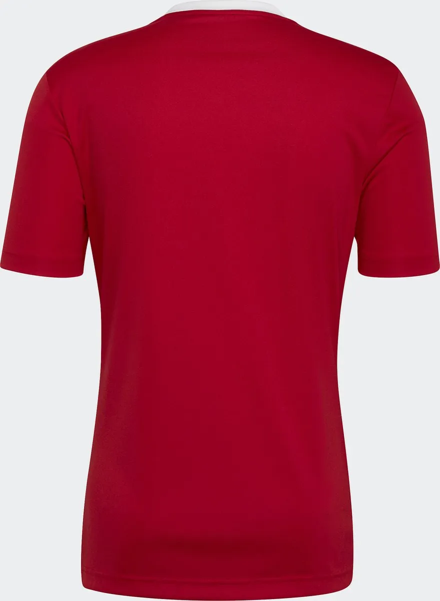 adidas Performance Entrada 22 Voetbalshirt 2XL - Rood