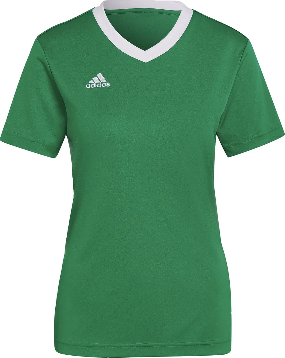adidas Performance Entrada 22 Voetbalshirt - Groen - XL