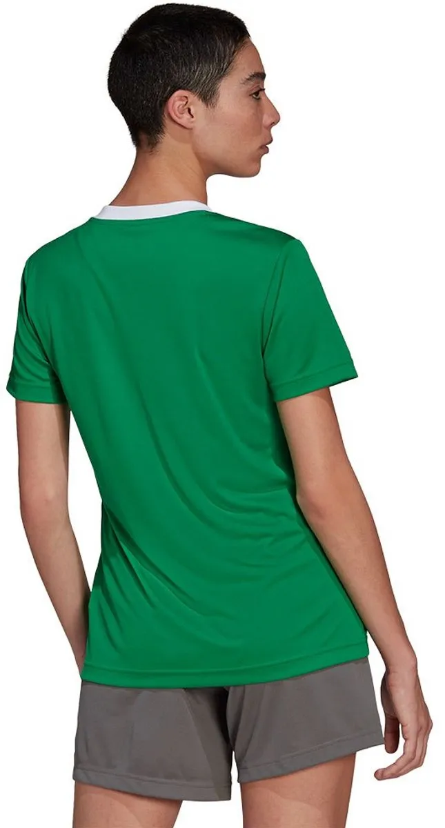adidas Performance Entrada 22 Voetbalshirt - Groen - XL