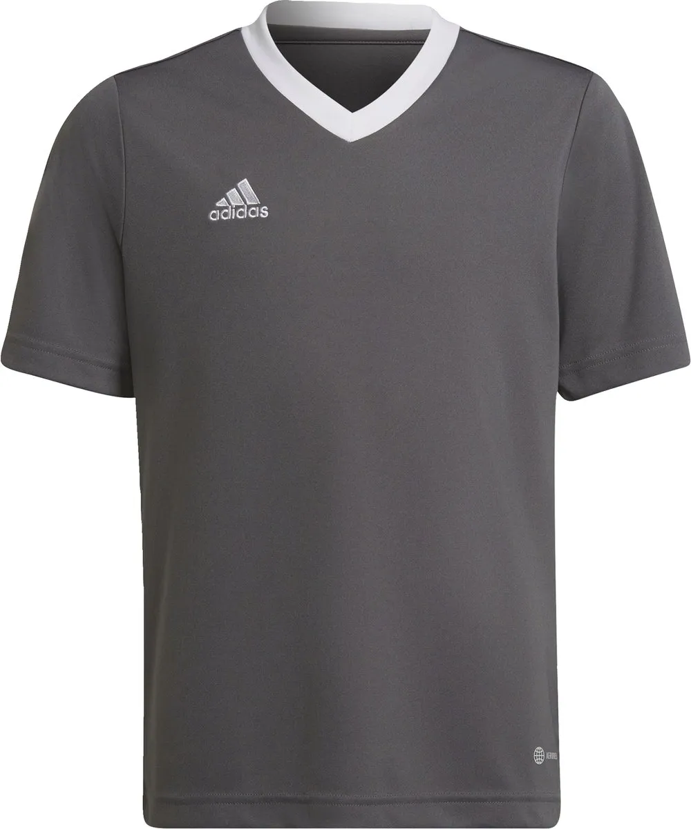 adidas Performance Entrada 22 Voetbalshirt 164 - Grijs - afbeelding 6 van 6