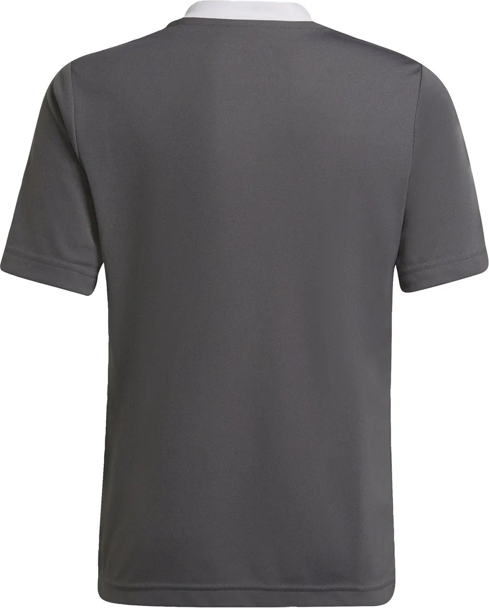 adidas Performance Entrada 22 Voetbalshirt 176 - Grijs - afbeelding 6 van 6