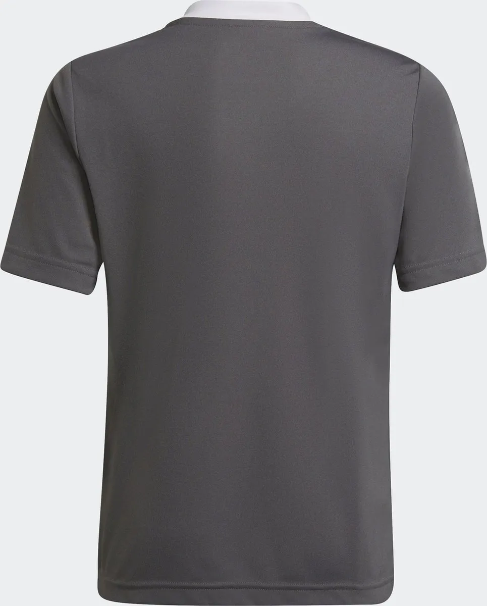 adidas Performance Entrada 22 Voetbalshirt 176 - Grijs