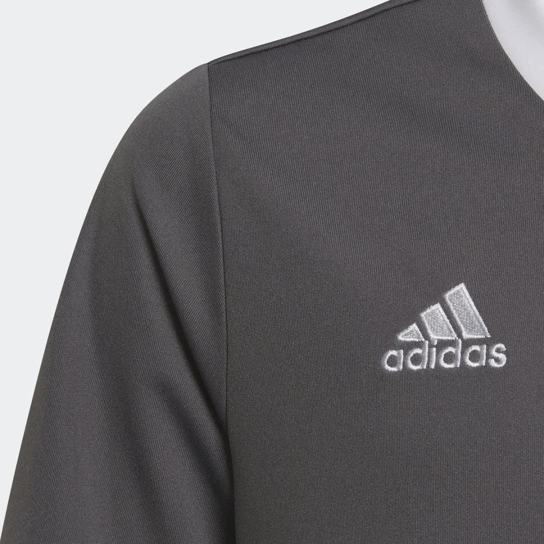 adidas Performance Entrada 22 Voetbalshirt 176 - Grijs