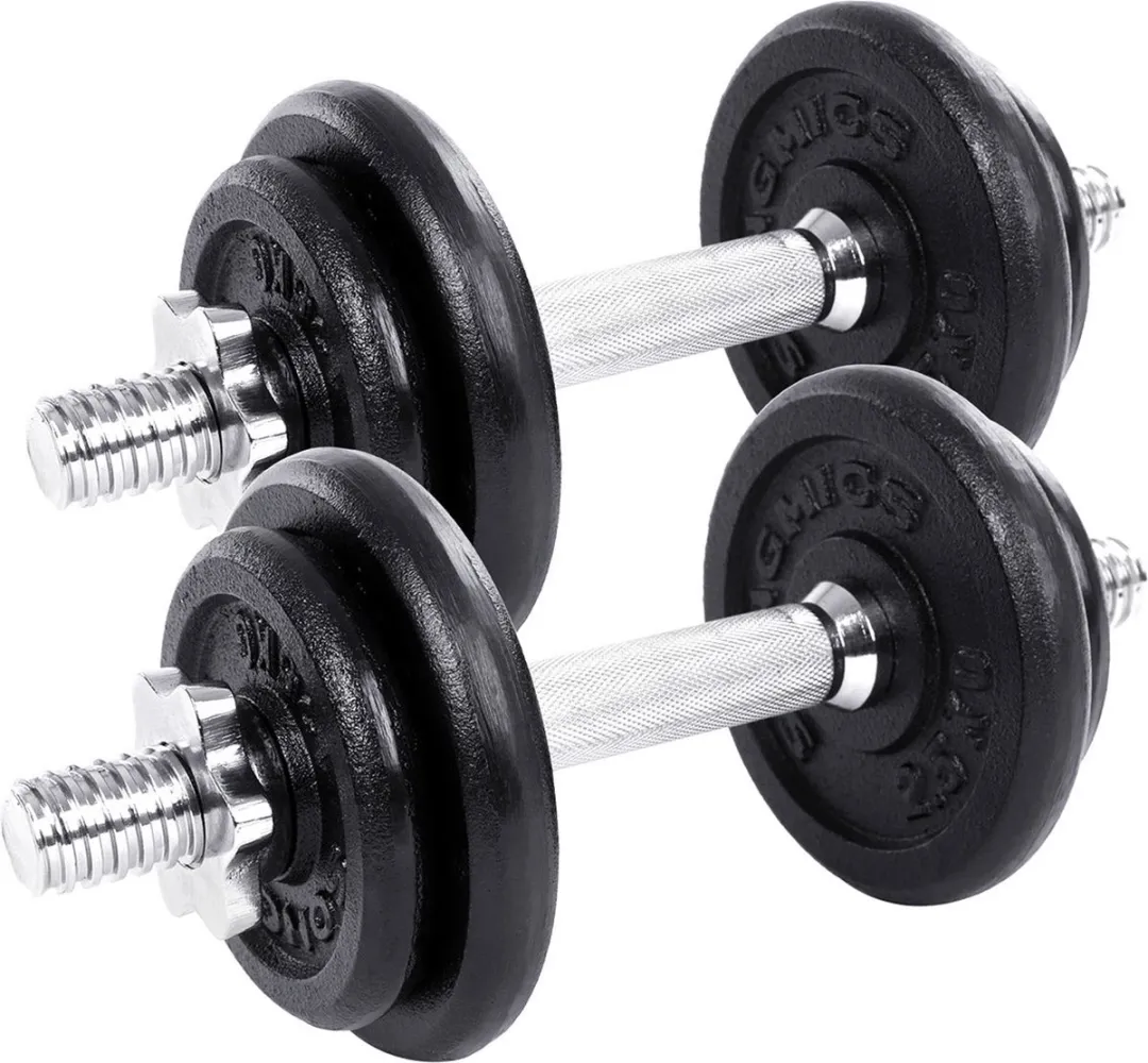 Songmics Halterset 2x10kg Gietijzer