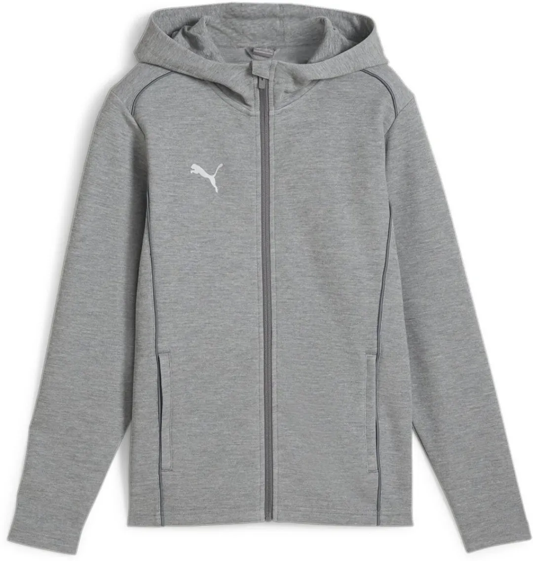 PUMA Teamfinal Hoodie Heren