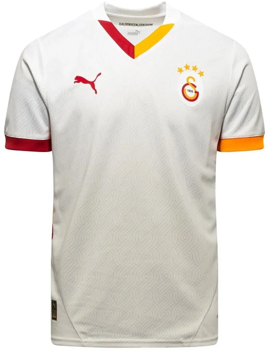 PUMA Galatasaray Uitshirt