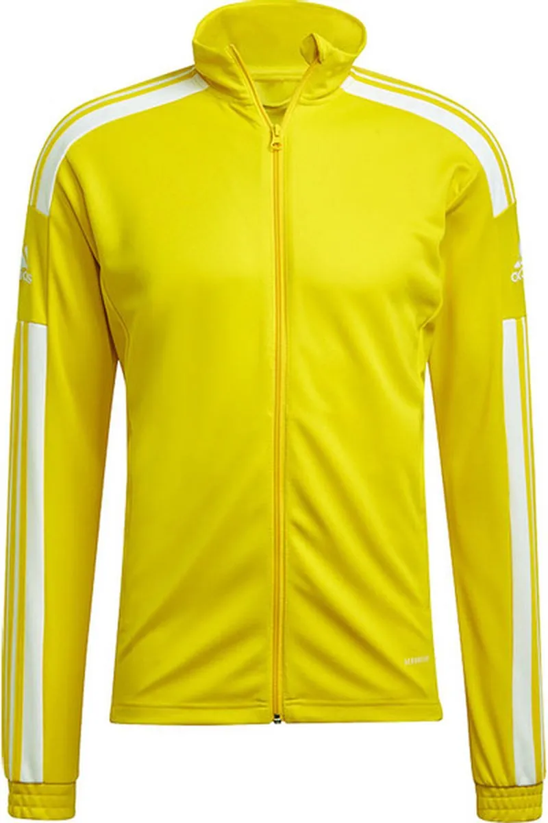 Adidas Squadra Track Jacket GP6465