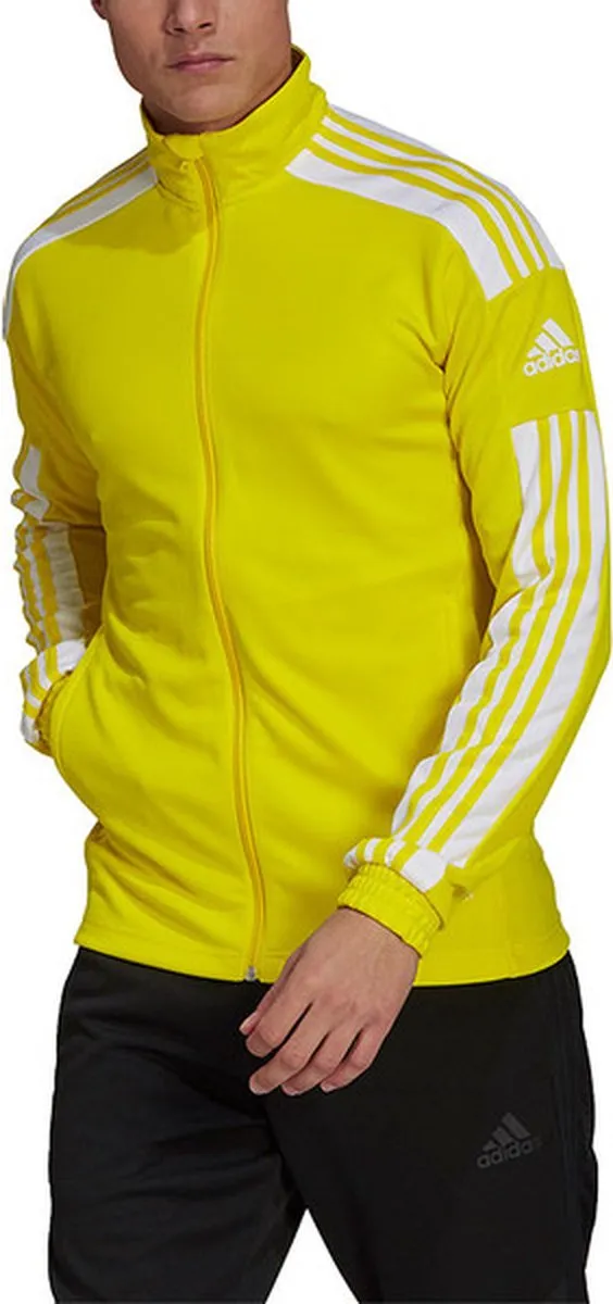 Adidas Squadra Track Jacket GP6465 - Geel