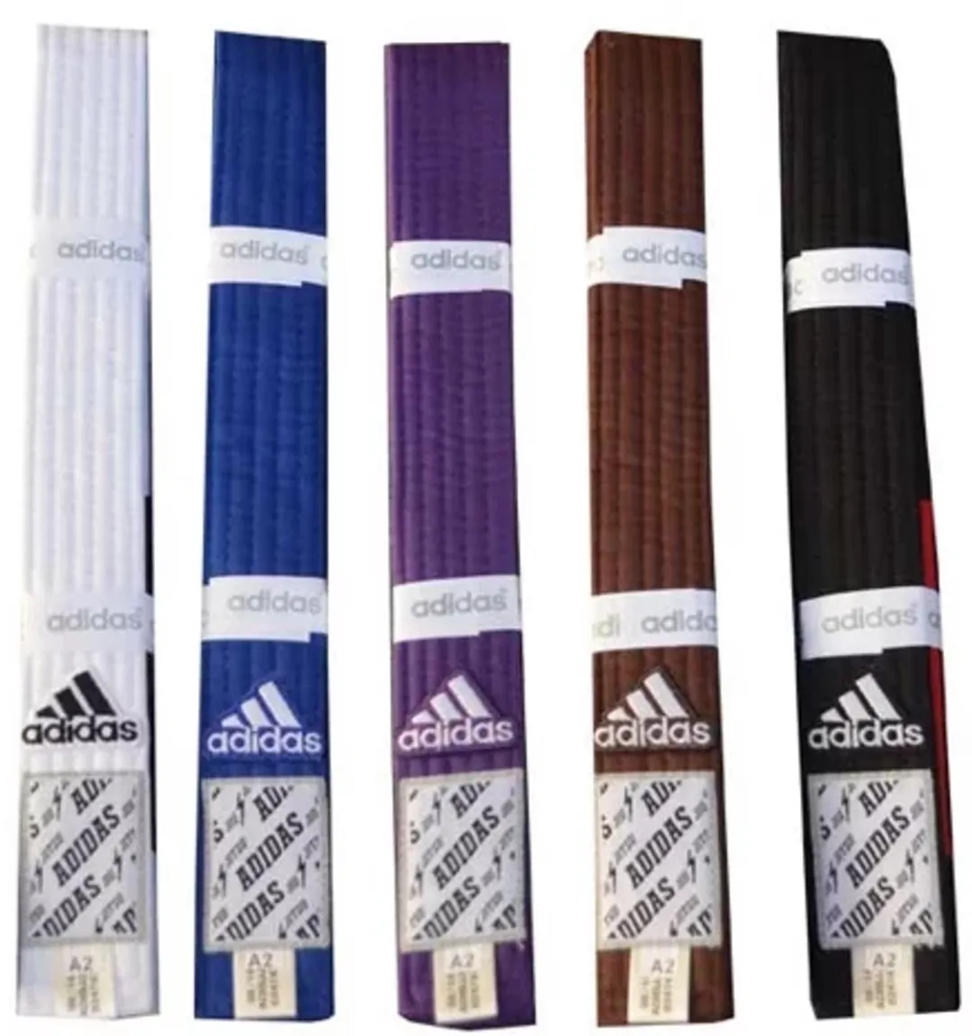 adidas BJJ-band 280cm - Bruin