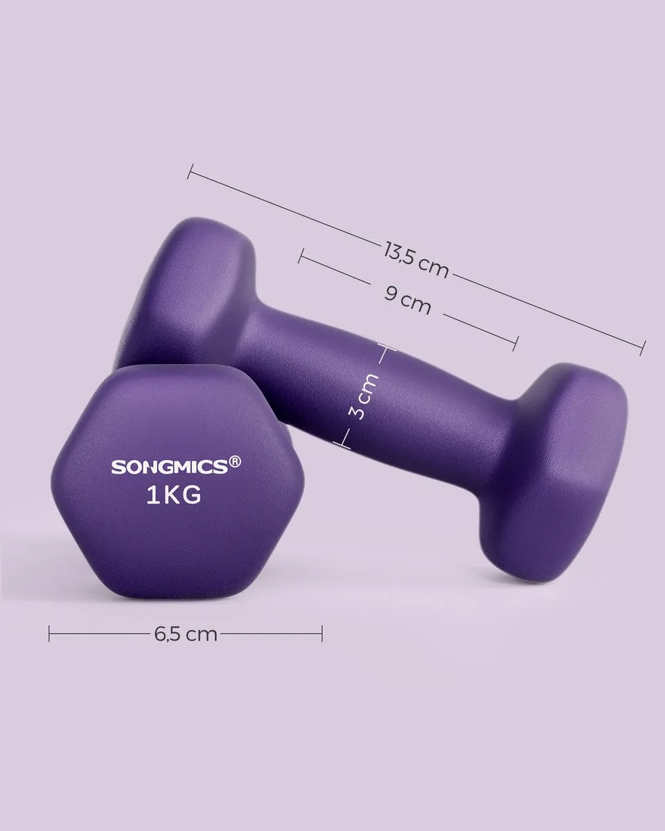 Songmics SYL902P02 Hexagon Dumbbellset 1 kg - As-paars