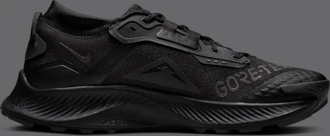 Nike Pegasus Trail 3 GORE-TEX