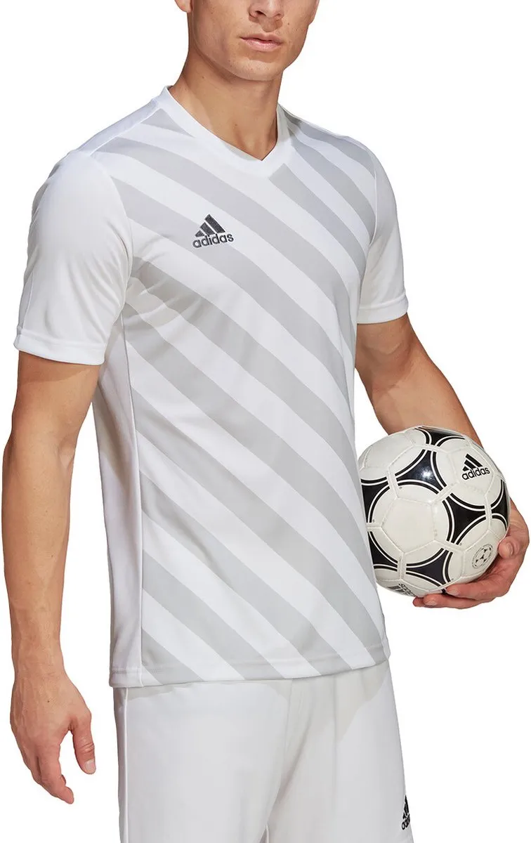 adidas Entrada 22 GFX Voetbalshirt
