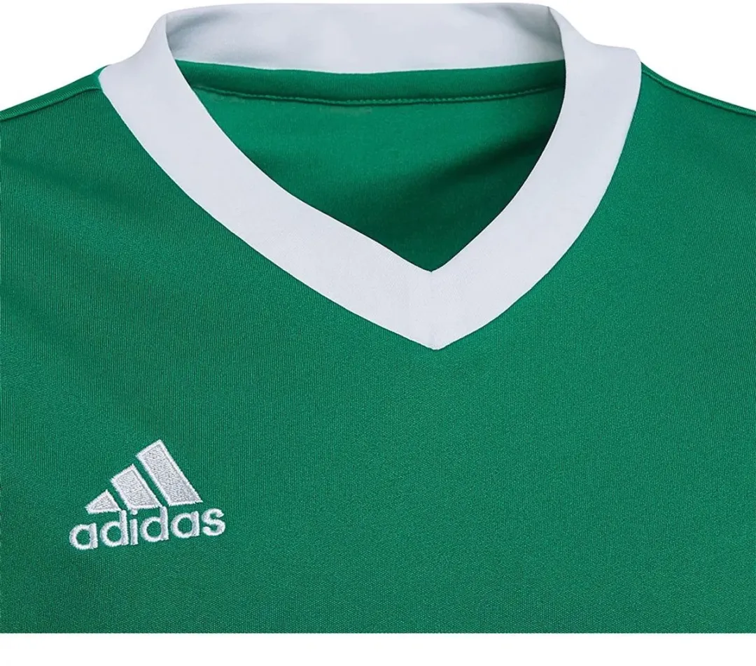 adidas Entrada 22 Jersey Youth 116 - Groen