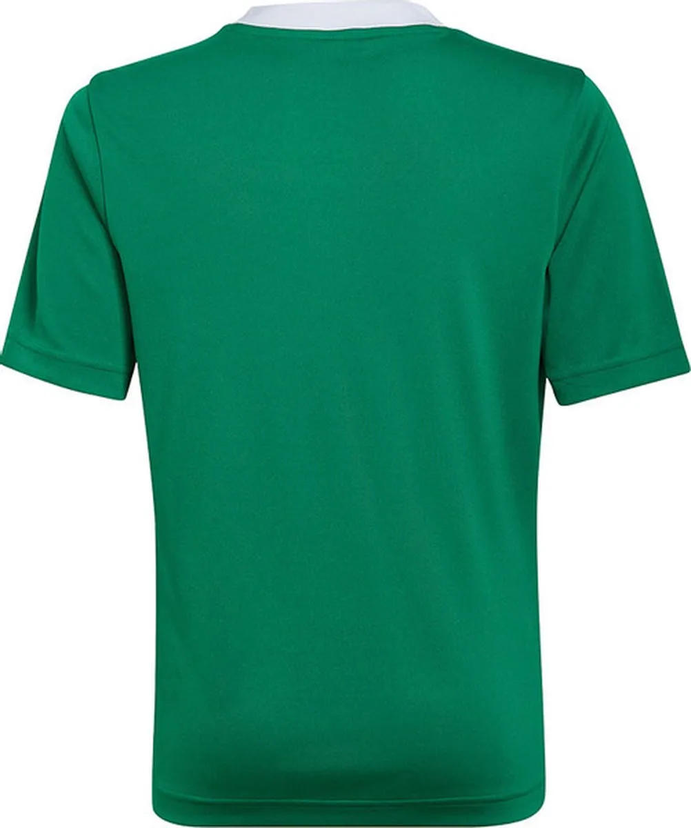 adidas Entrada 22 Jersey Youth 116 - Groen