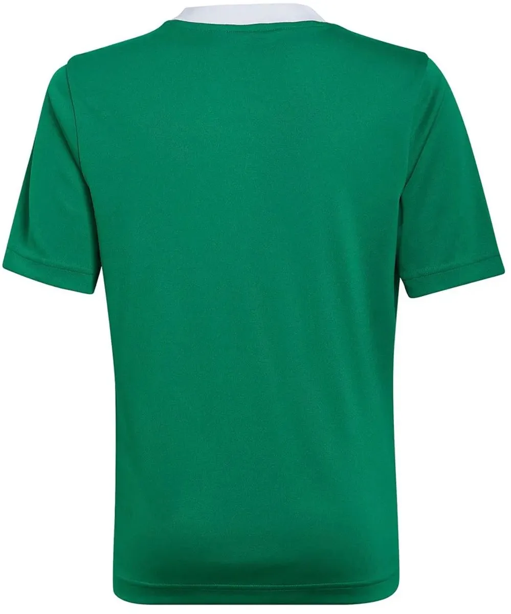 adidas Entrada 22 Jersey Youth 116 - Groen