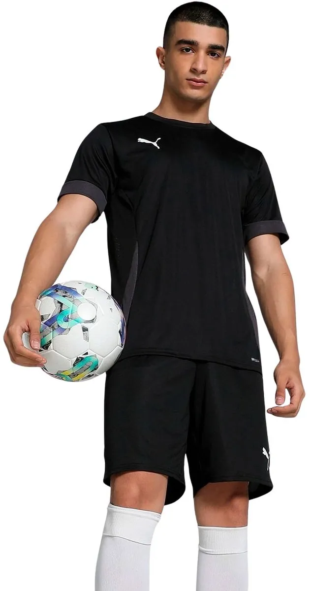 PUMA teamGOAL Matchday Jersey Heren - Zwart/Wit/Grijs